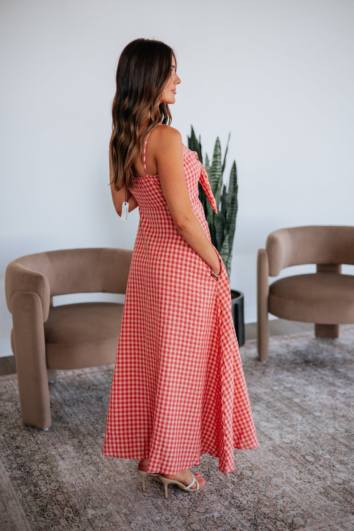 Ariella Gingham Dress